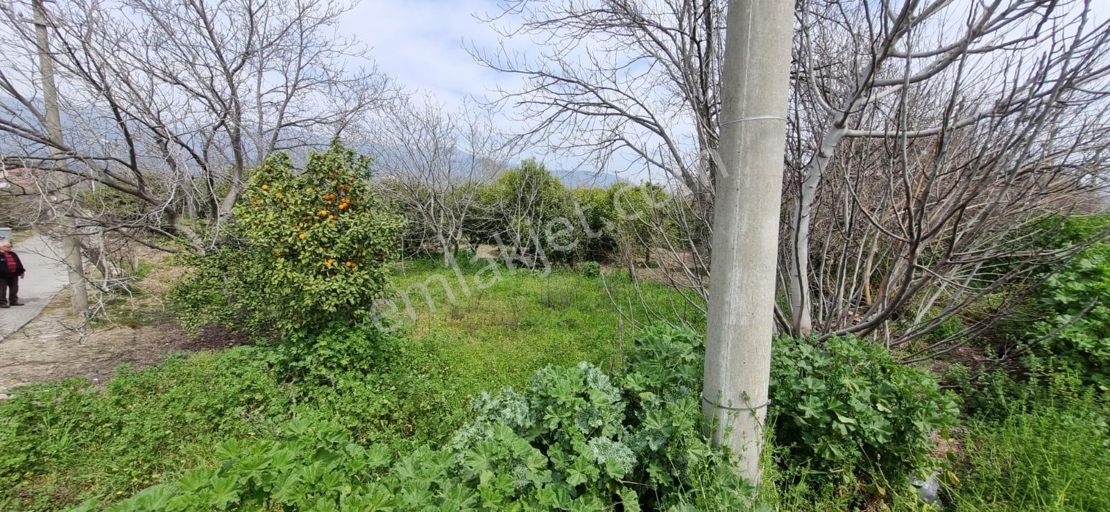 Aydın Nazilli Yöntem Emlaktan Kuyucak Horsunluda Satılık Arsa - Görsel 16