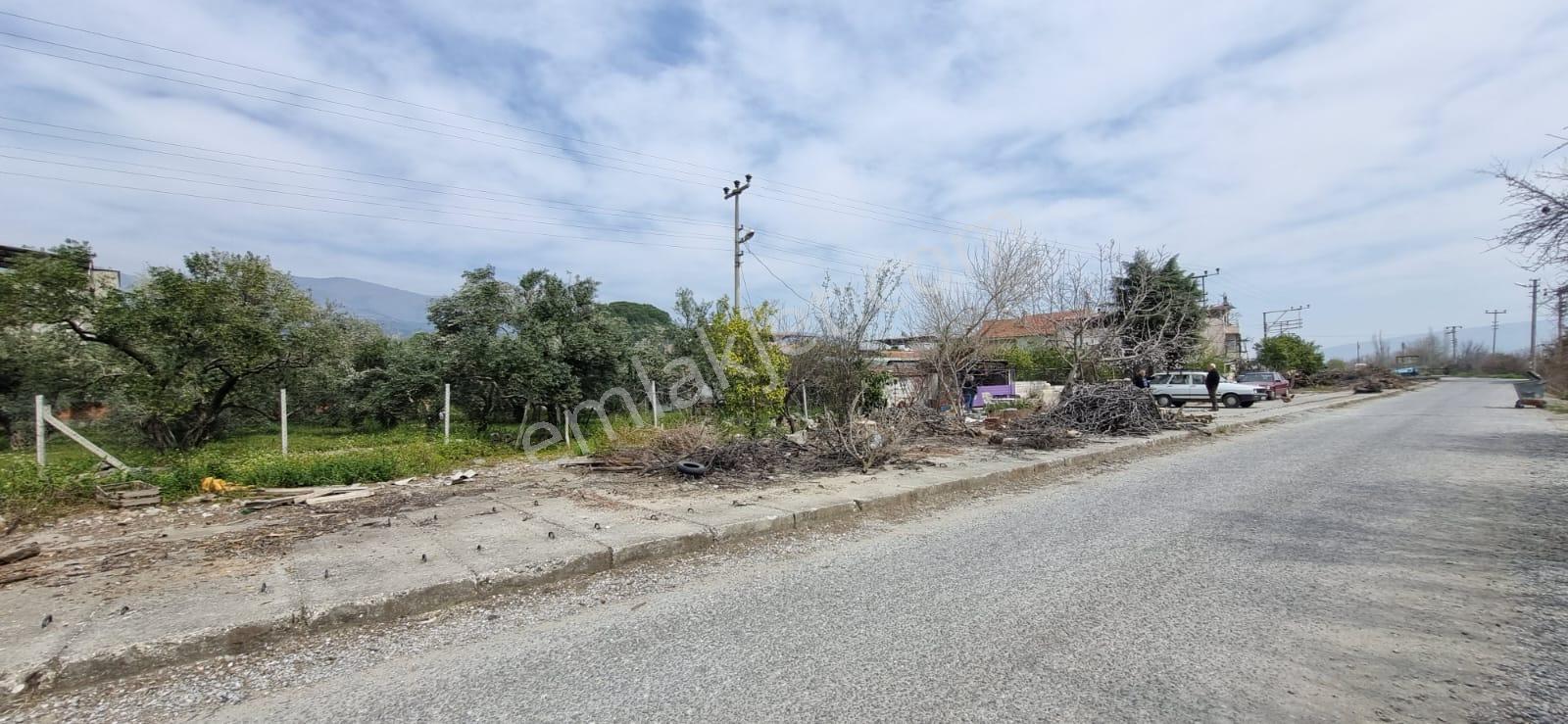 Aydın Nazilli Yöntem Emlaktan Kuyucak Horsunluda Satılık Arsa - Görsel 15