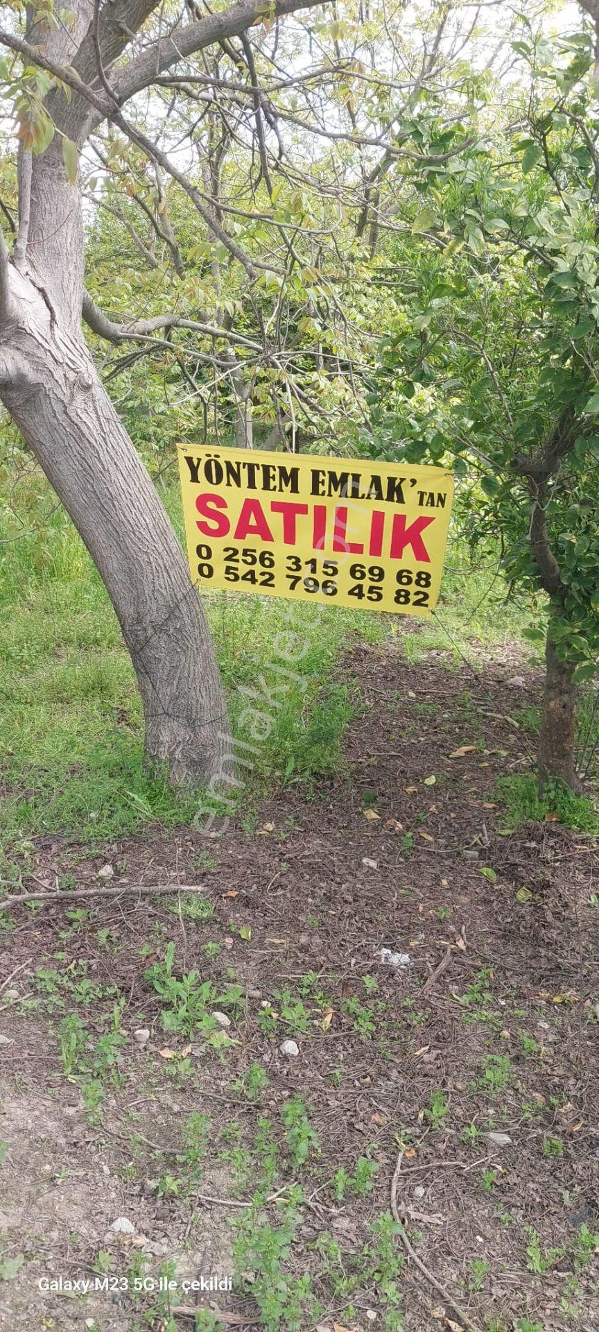 Aydın Nazilli Yöntem Emlaktan Kuyucak Horsunluda Satılık Arsa - Görsel 8