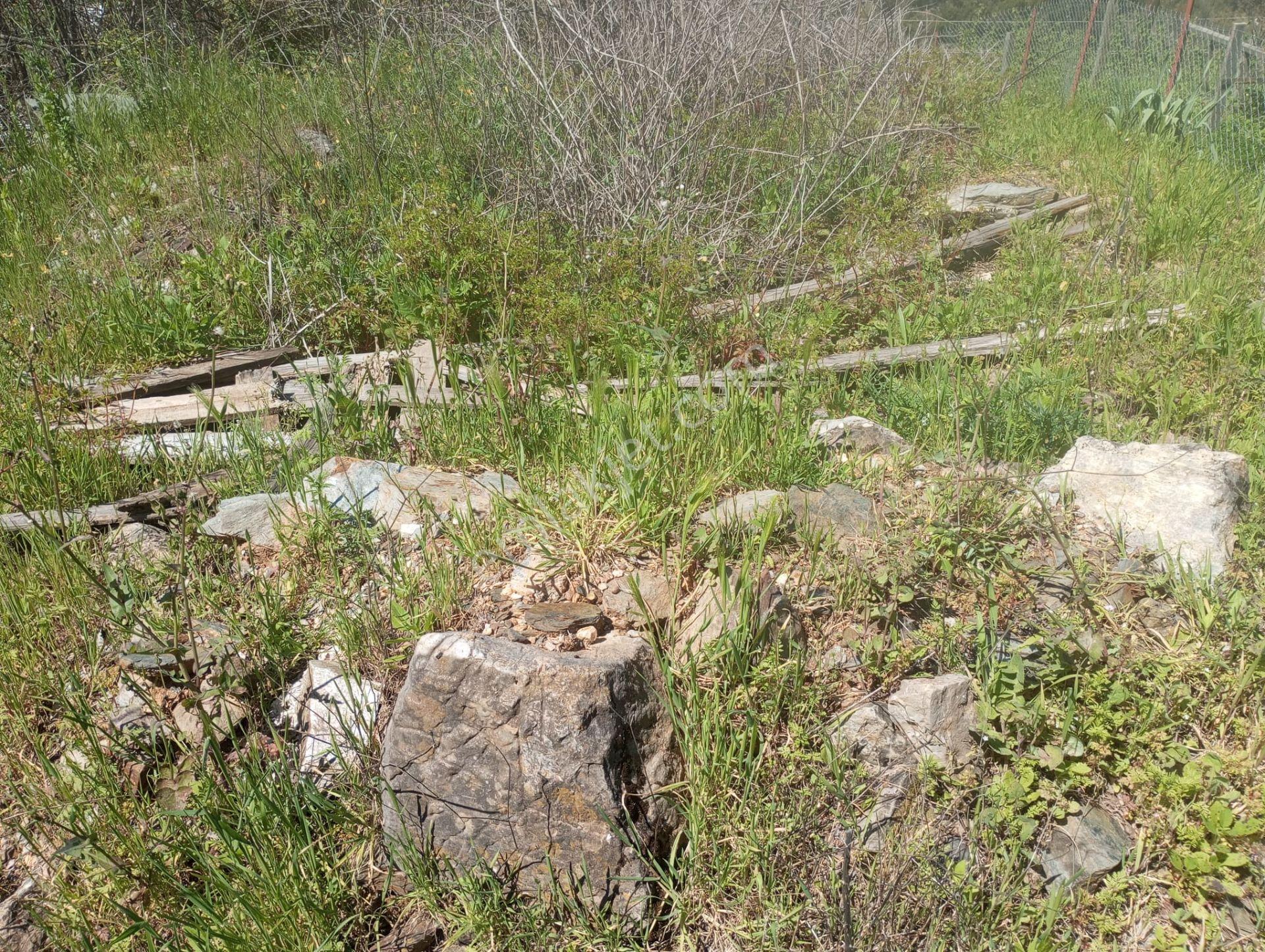 Alanya Gümüşkavak’ta Köy İçinde – Yolu Suyu Hazır, Ev Yapmaya Uygun Arsa! - Görsel 8