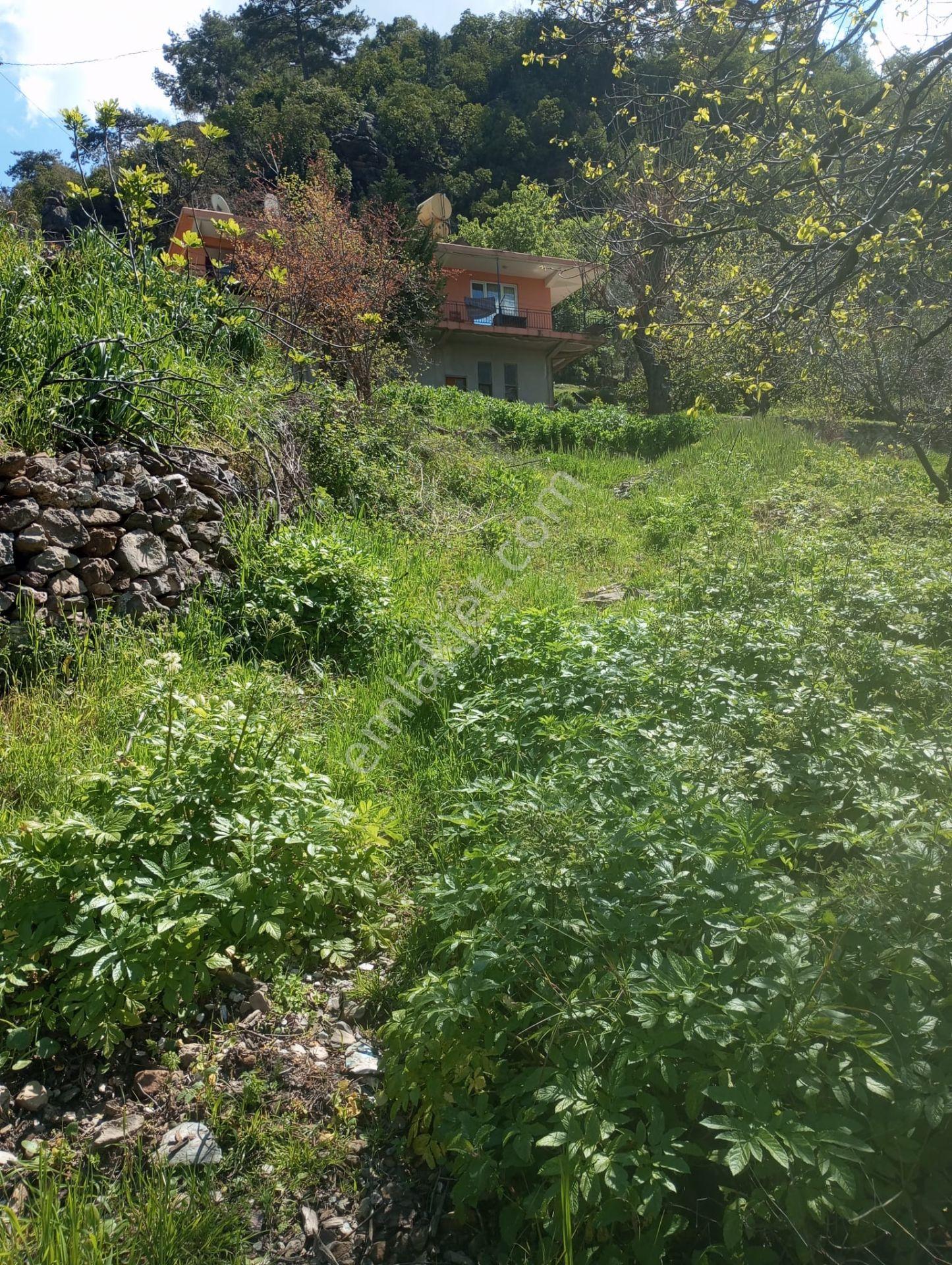 Alanya Gümüşkavak’ta Köy İçinde – Yolu Suyu Hazır, Ev Yapmaya Uygun Arsa! - Görsel 7