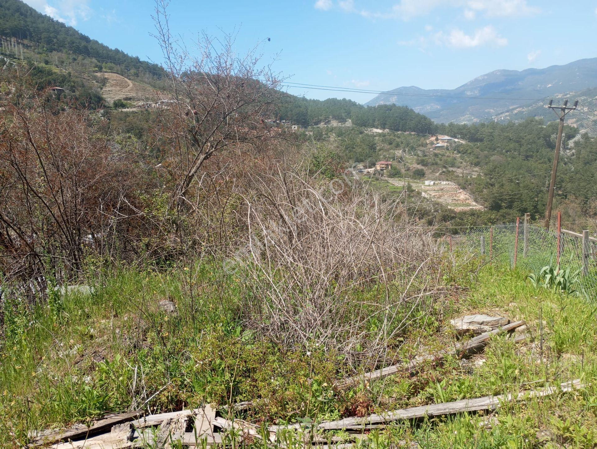 Alanya Gümüşkavak’ta Köy İçinde – Yolu Suyu Hazır, Ev Yapmaya Uygun Arsa! - Görsel 9