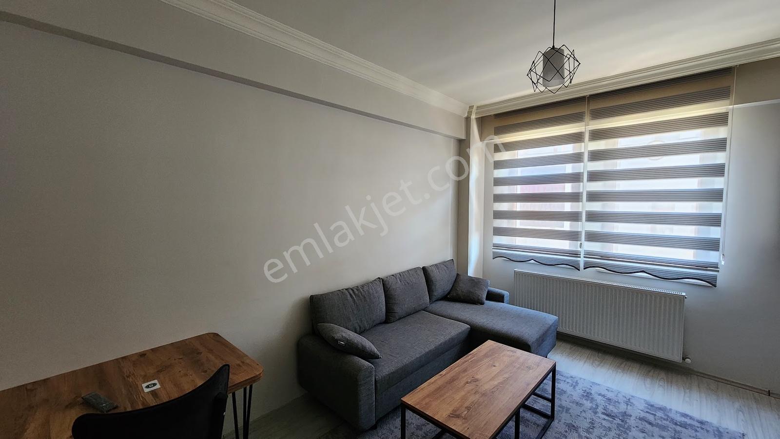 Yeni Sağlık Müdürlüğü Yakını 1+1 Eşyalı - Görsel 15