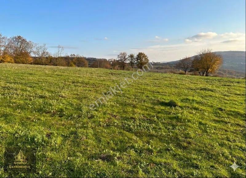 Atakum Köselli Köyünde Yerleşik Alan İçinde 1728 M²satılık Tarla - Görsel 4