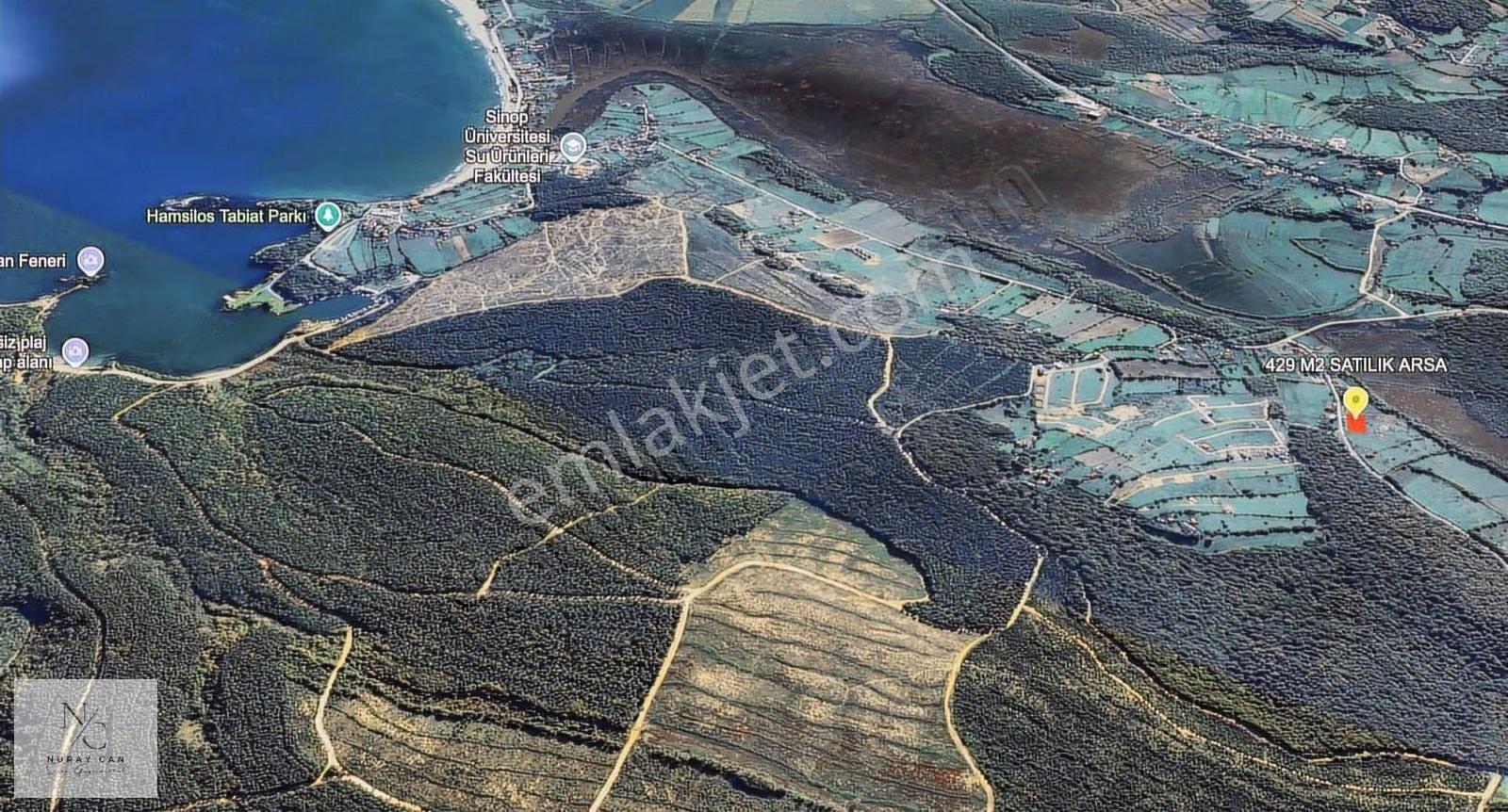 Sinop Abalı'da Yola Cepheli Konut İmarlı Satılık Arsa - Görsel 5