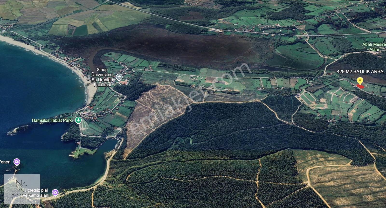 Sinop Abalı'da Yola Cepheli Konut İmarlı Satılık Arsa - Görsel 4