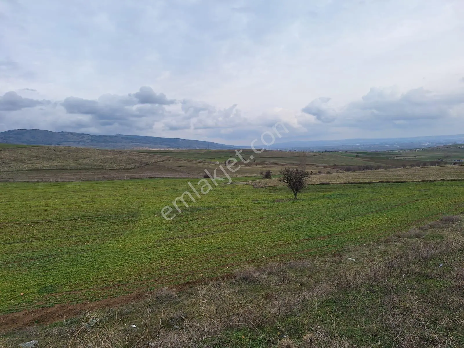 🌾 Kavacık Mahallesi’nde 24 Dönüm Satılık Tarla 🌾 - Görsel 5