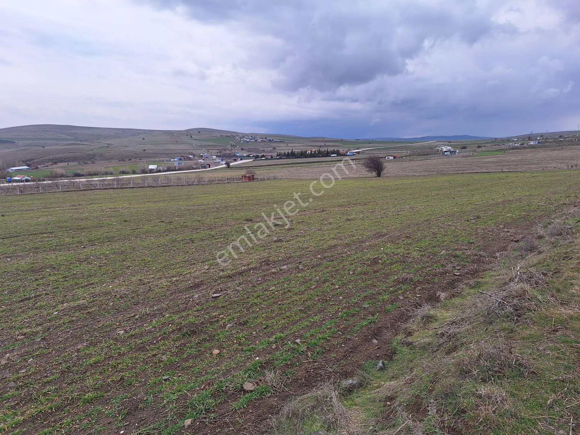 🌾 Kavacık Mahallesi’nde 24 Dönüm Satılık Tarla 🌾 - Görsel 3