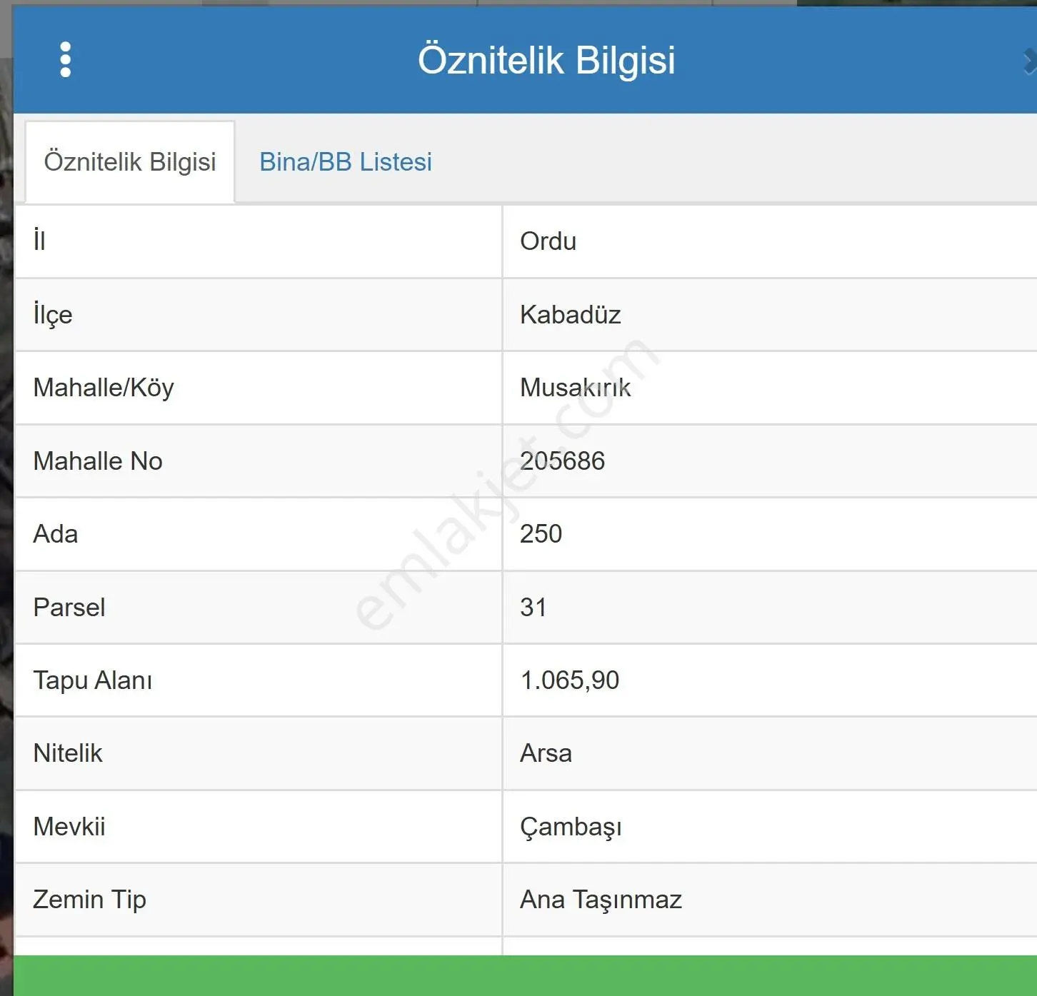 Ordu Çambaşı'nda Kaçırılmayacak Fırsat Satılık Arsa - Görsel 5
