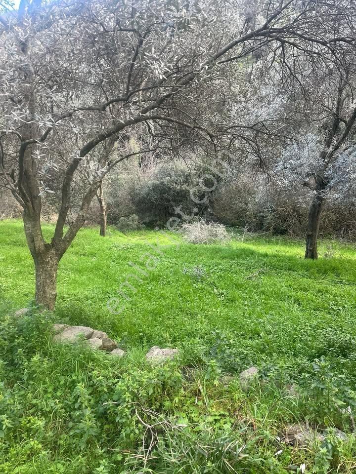 Bayındır Ilıcada Termal Bölgede Satılık Villa İmarlı Arsa - Görsel 2
