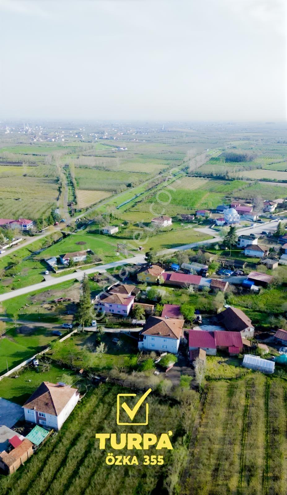 Turpaözka 355 Den Satılık Fındık Tarlası Ve Bağ Evine Uygun Arsa - Görsel 7