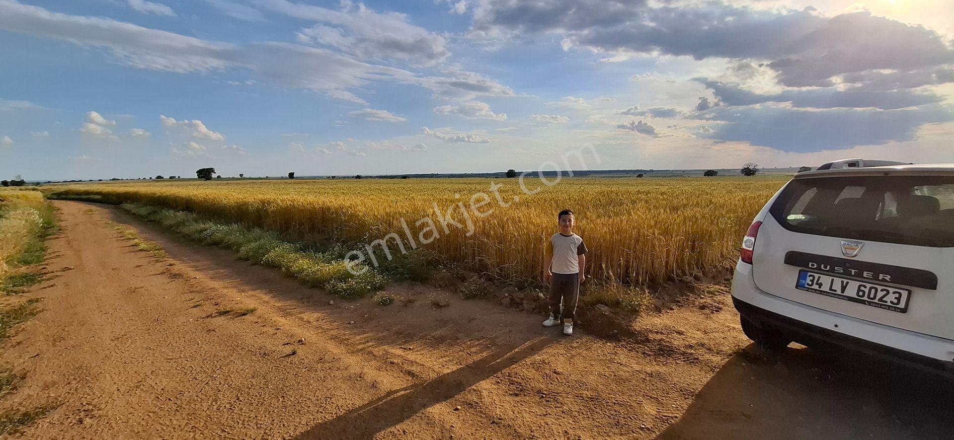 2 Yola Cepheli Tava Gibi Tek Tapu Arazi [ 3.636 M2 ] - Görsel 26
