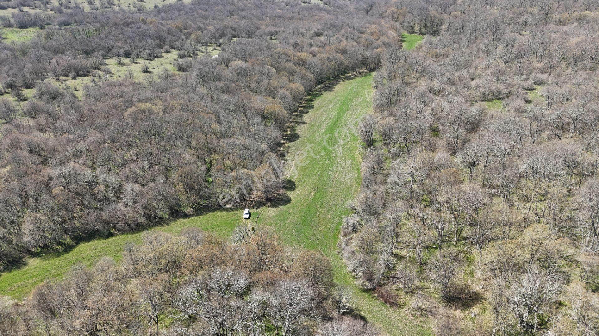 Kocayazıda Orman İçi Yola Cepheli Tektapu Düz Arazi [ 5.019 M2 ] - Görsel 34