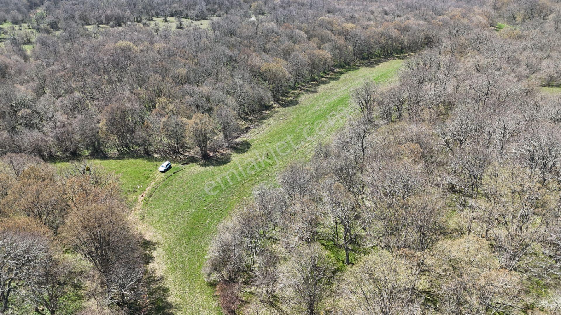 Kocayazıda Orman İçi Yola Cepheli Tektapu Düz Arazi [ 5.019 M2 ] - Görsel 33