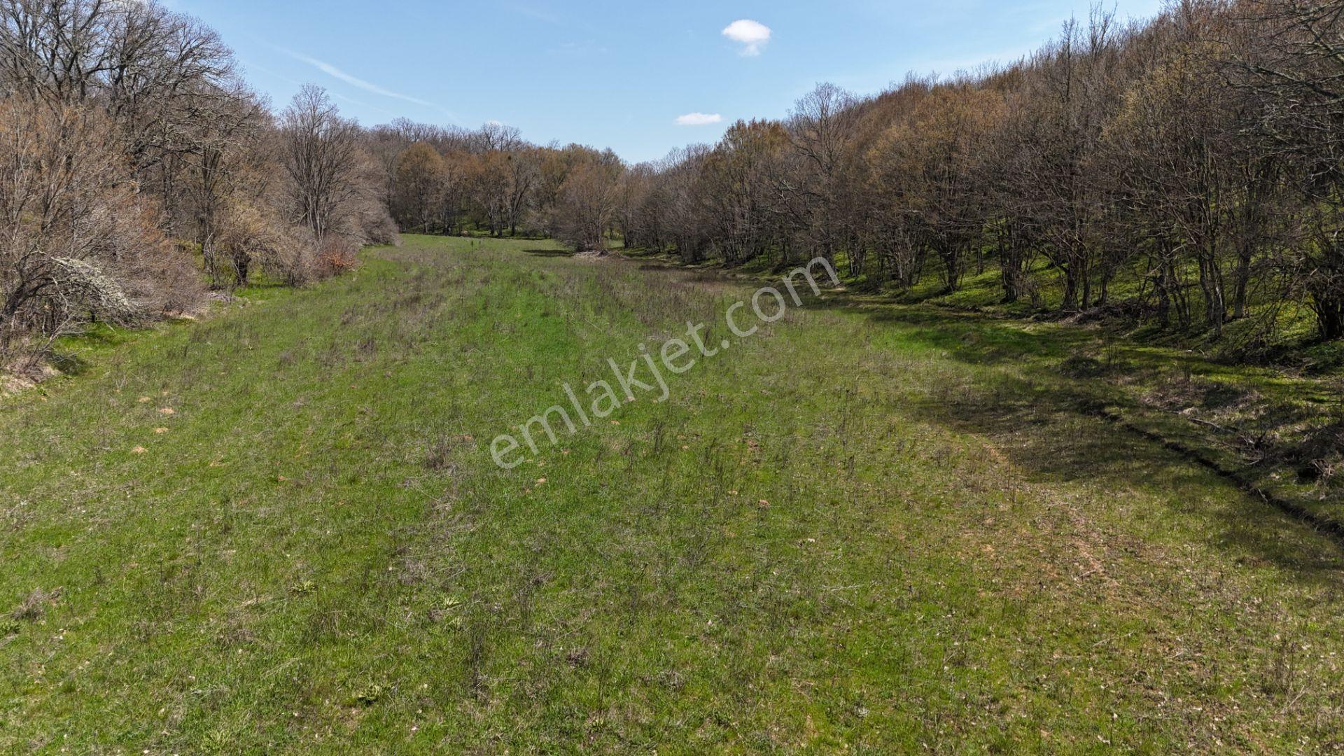 Kocayazıda Orman İçi Yola Cepheli Tektapu Düz Arazi [ 5.019 M2 ] - Görsel 19