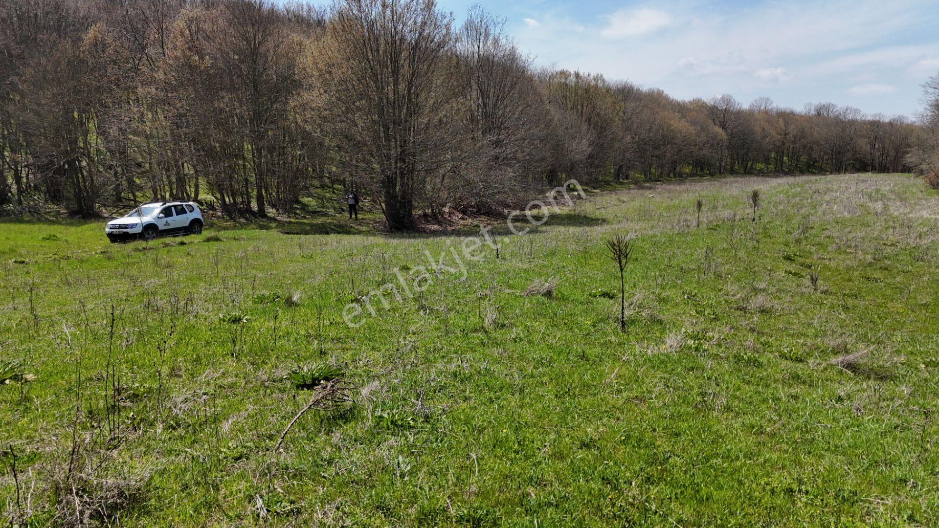 Kocayazıda Orman İçi Yola Cepheli Tektapu Düz Arazi [ 5.019 M2 ] - Görsel 12