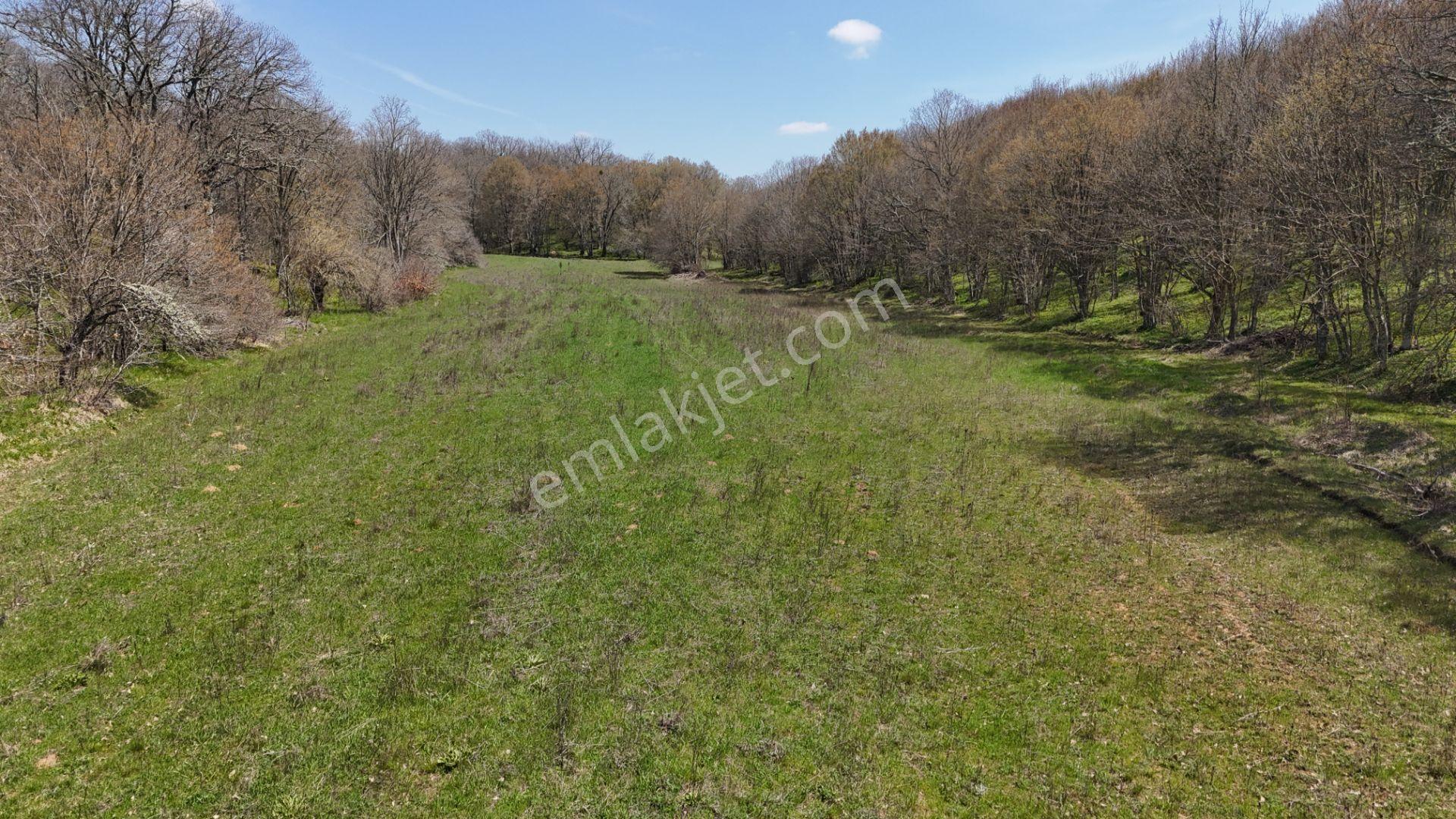 Kocayazıda Orman İçi Yola Cepheli Tektapu Düz Arazi [ 5.019 M2 ] - Görsel 17