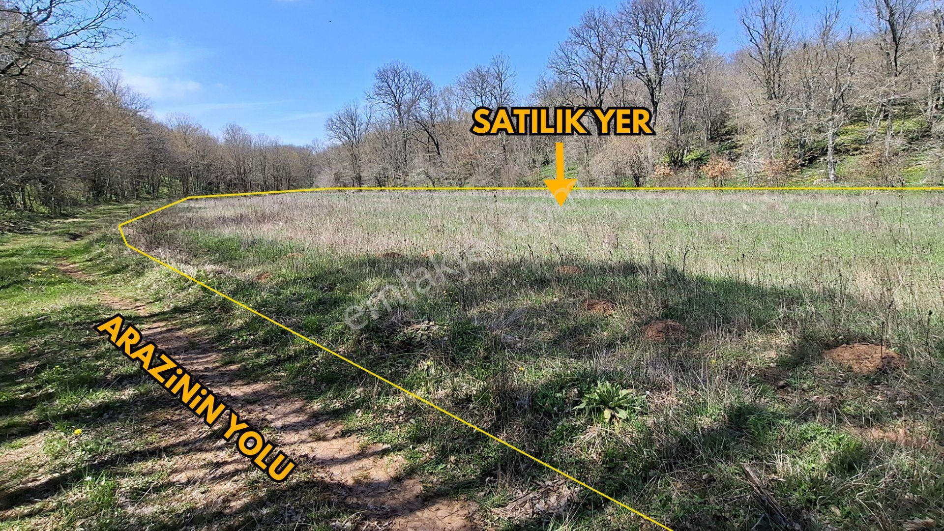 Kocayazıda Orman İçi Yola Cepheli Tektapu Düz Arazi [ 5.019 M2 ] - Görsel 2