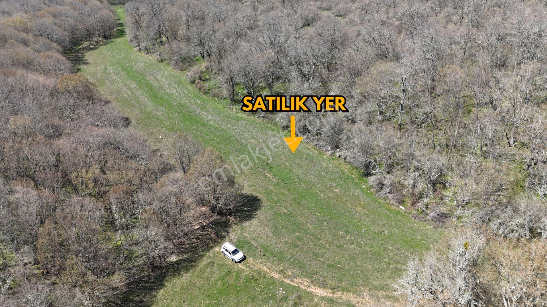 Kocayazıda Orman İçi Yola Cepheli Tektapu Düz Arazi [ 5.019 M2 ] - Görsel 5