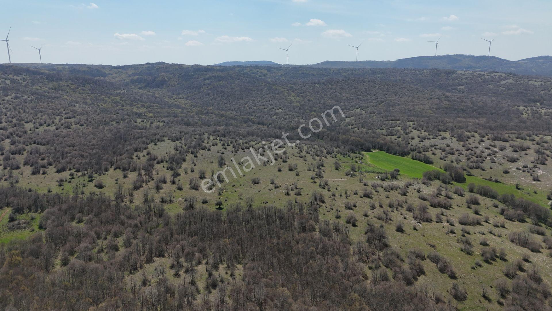 Kocayazıda Orman İçi Yola Cepheli Tektapu Düz Arazi [ 5.019 M2 ] - Görsel 35