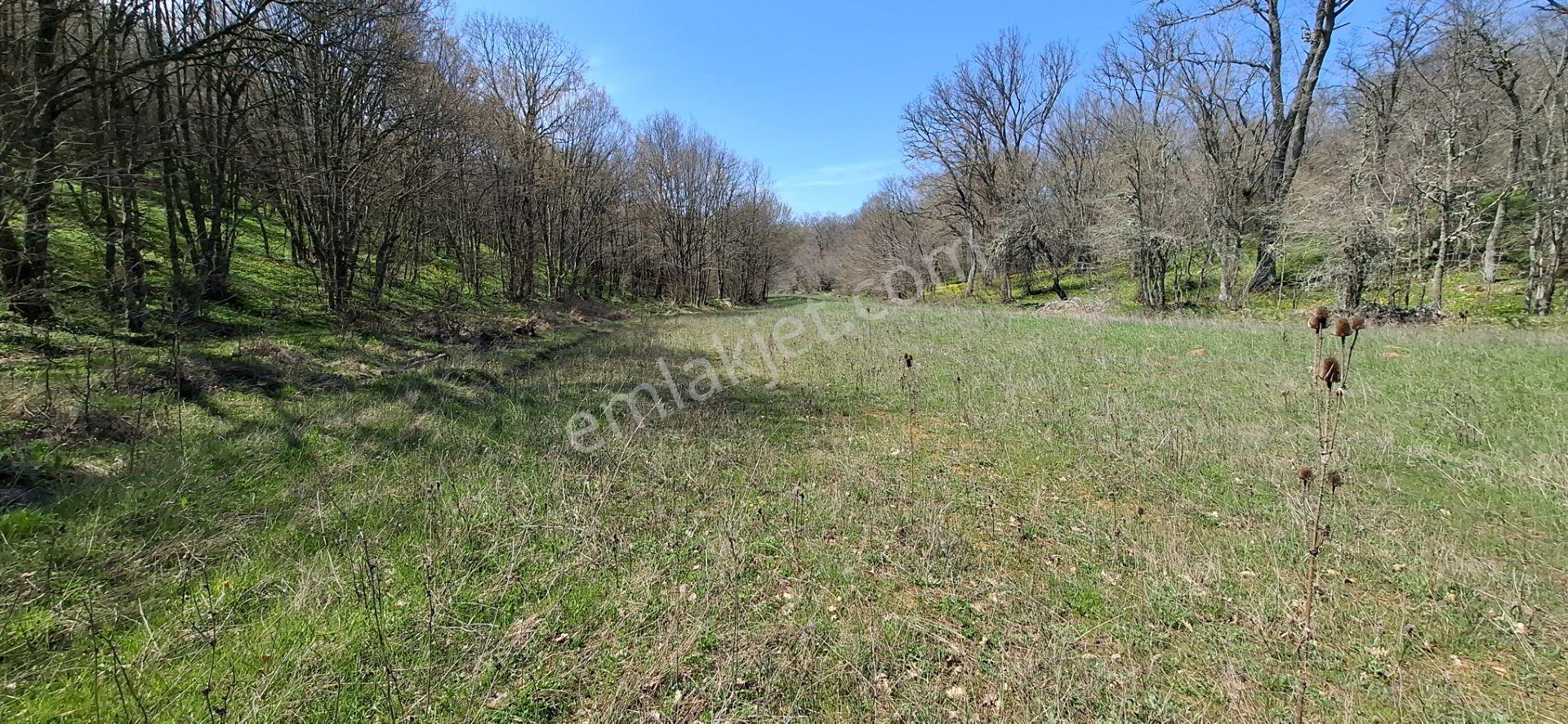 Kocayazıda Orman İçi Yola Cepheli Tektapu Düz Arazi [ 5.019 M2 ] - Görsel 11