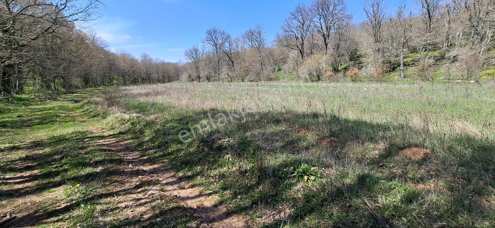 Kocayazıda Orman İçi Yola Cepheli Tektapu Düz Arazi [ 5.019 M2 ] - Görsel 22