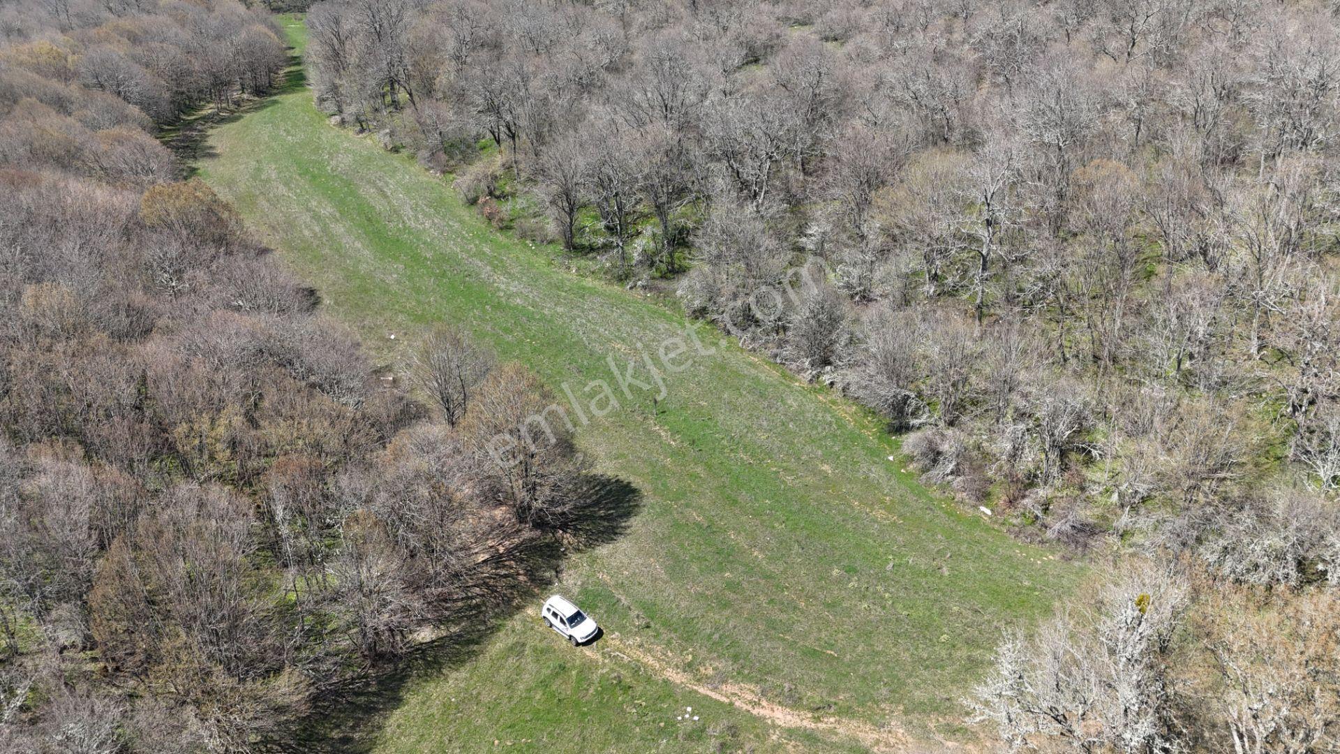 Kocayazıda Orman İçi Yola Cepheli Tektapu Düz Arazi [ 5.019 M2 ] - Görsel 24