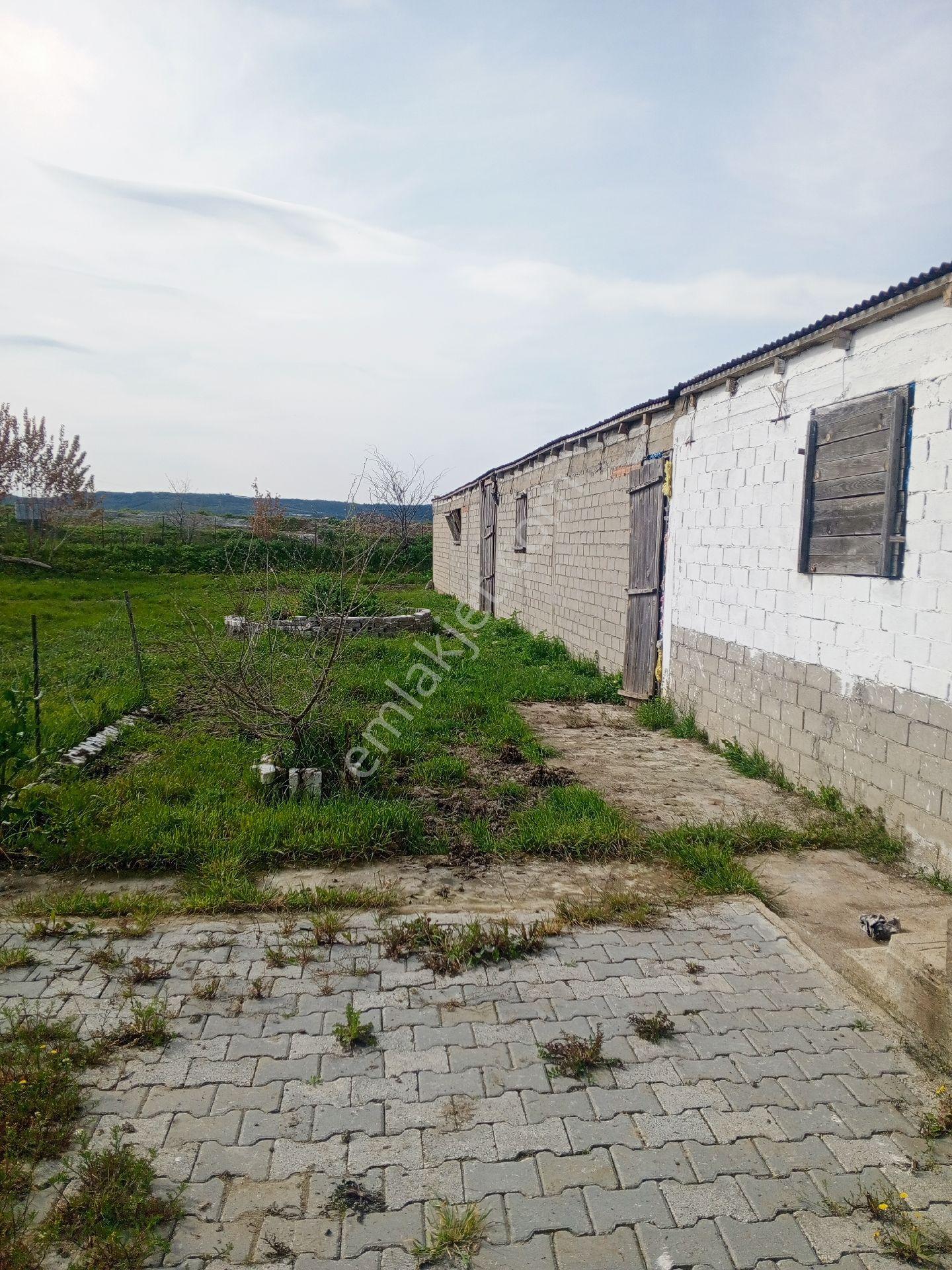 Edirne Meriç Serem Mah. Satılık Hazır Kurulu Çiftlik - Görsel 31