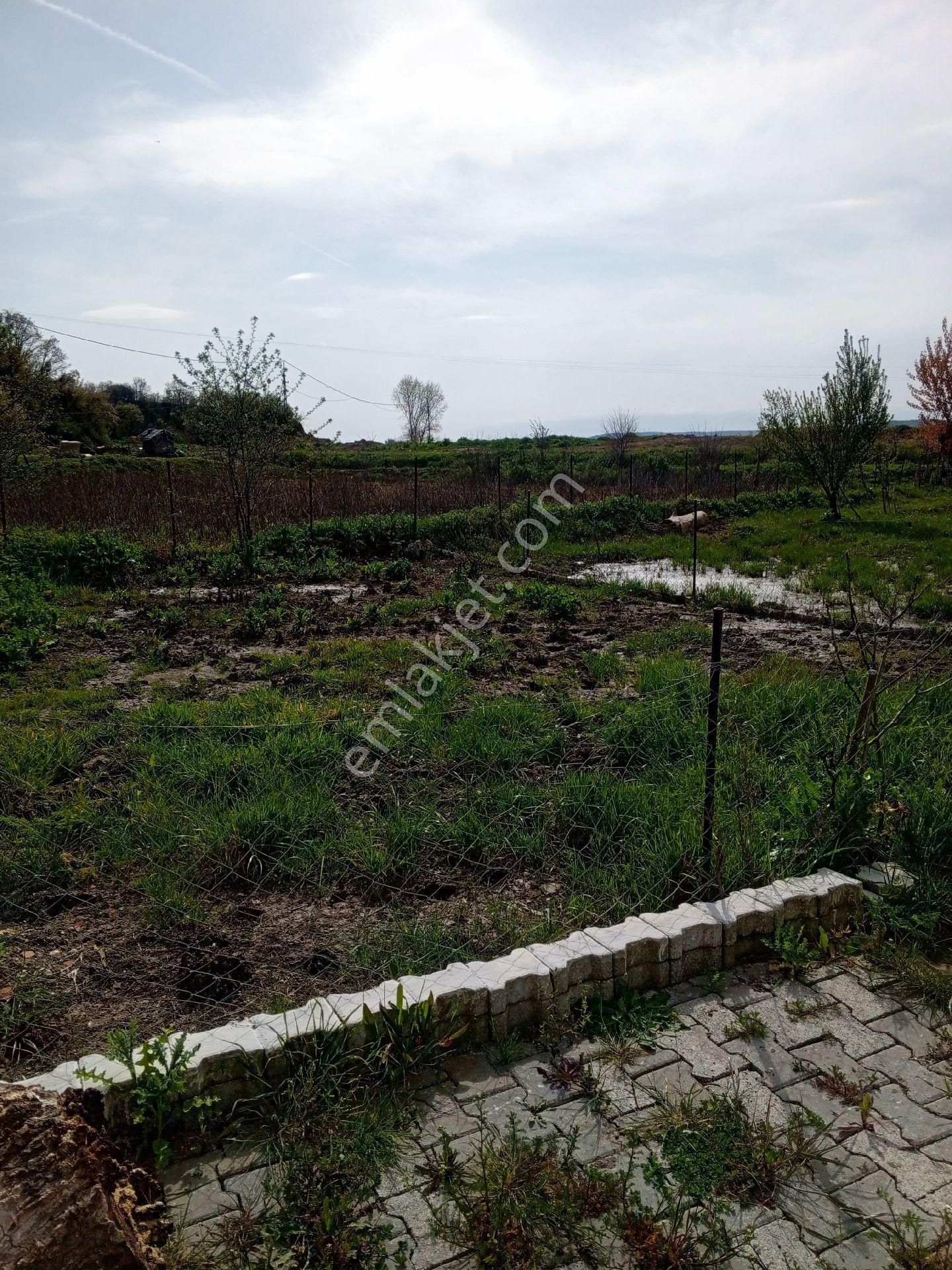 Edirne Meriç Serem Mah. Satılık Hazır Kurulu Çiftlik - Görsel 29