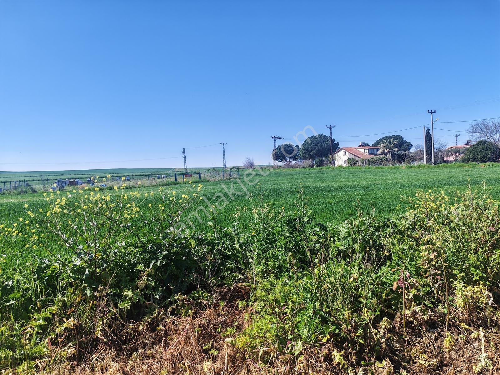 491 M2 Villa İmarlı Arsa Çanakkale Biga Çeşmealtı Satılık - Görsel 4