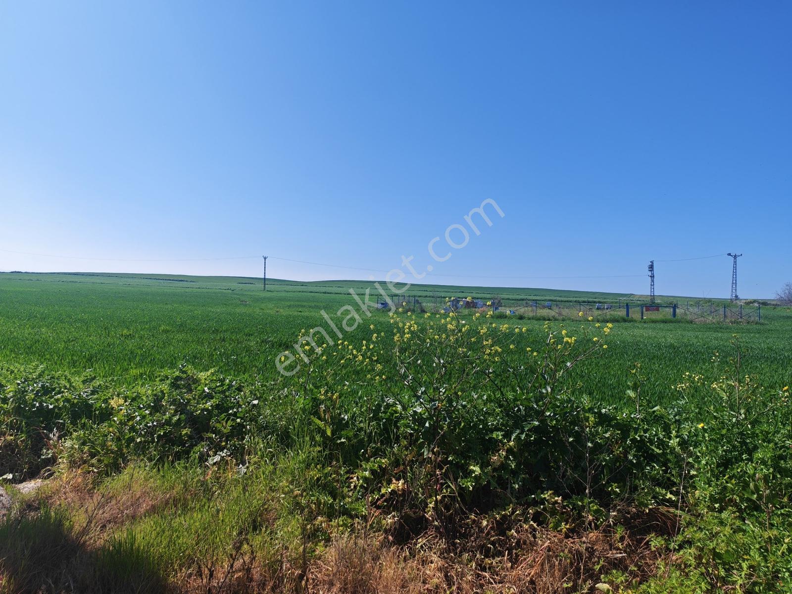 491 M2 Villa İmarlı Arsa Çanakkale Biga Çeşmealtı Satılık - Görsel 17