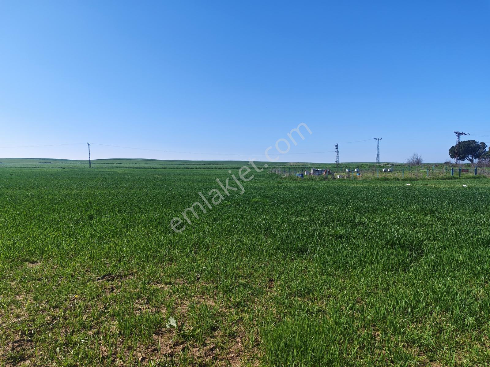 491 M2 Villa İmarlı Arsa Çanakkale Biga Çeşmealtı Satılık - Görsel 14