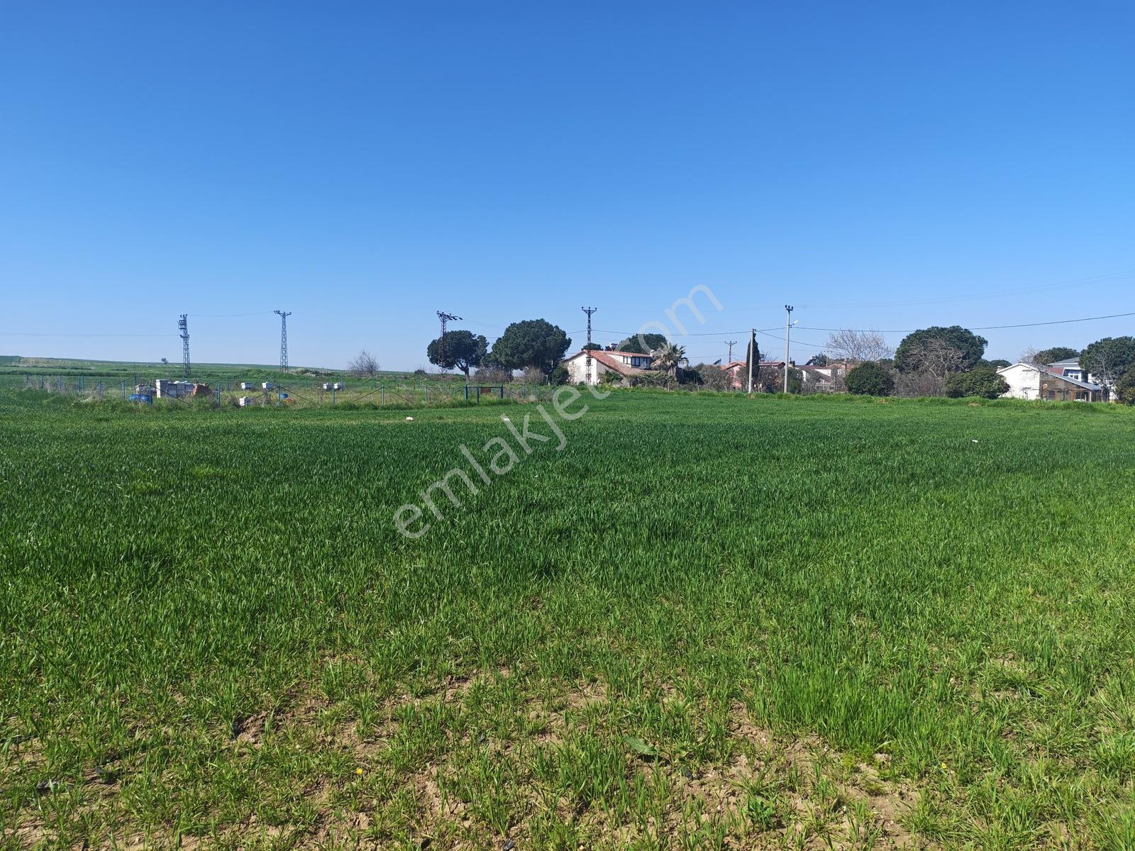491 M2 Villa İmarlı Arsa Çanakkale Biga Çeşmealtı Satılık - Görsel 11