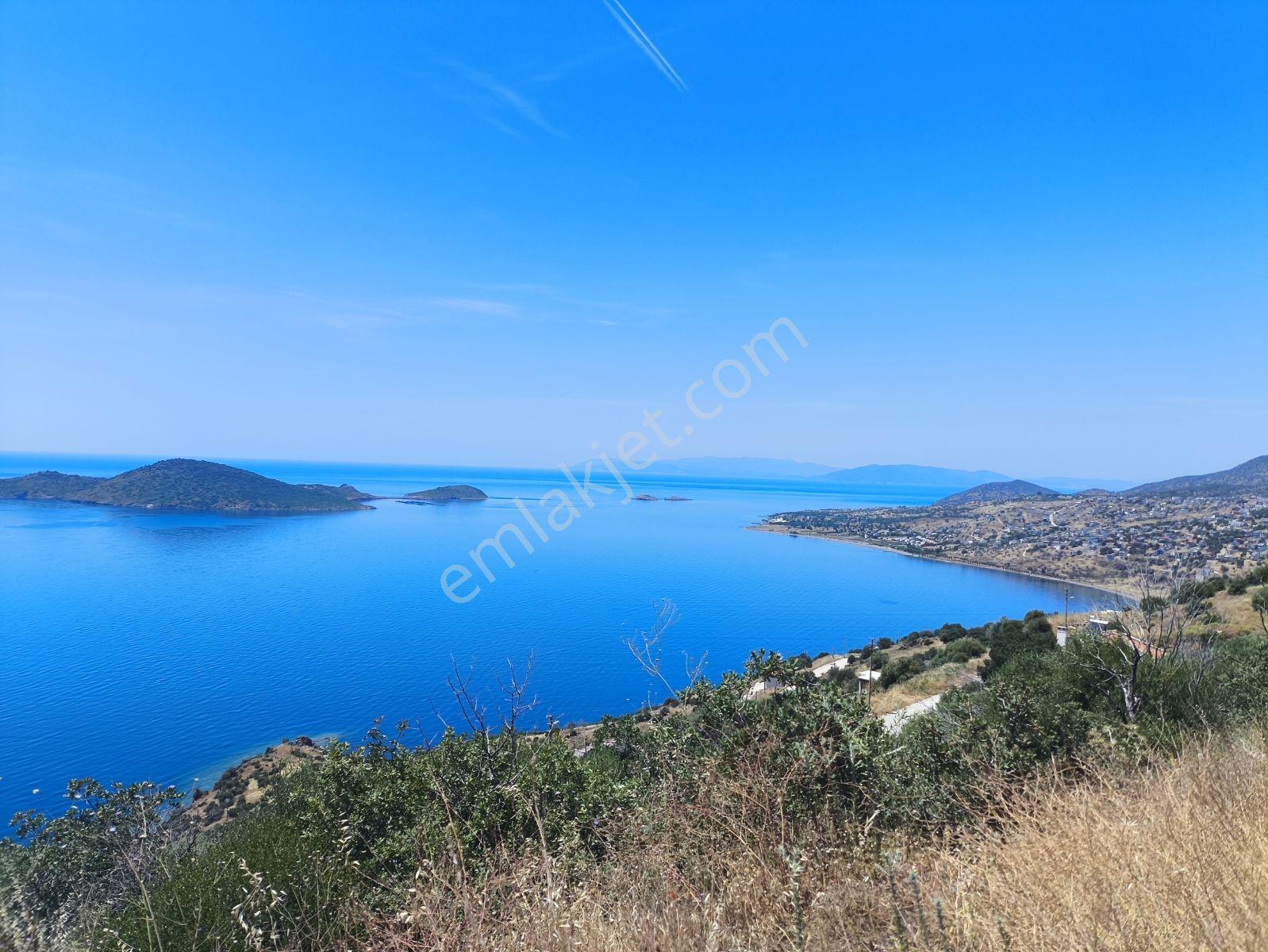 Çandarlı Eykoda Deniz Manzaralı, Villa İmarlı Fırsat Arsa - Görsel 11