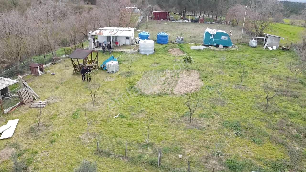 Çanakkale Biga Bahçeli Köyünde 1.115 M2 Bağ - Görsel 5