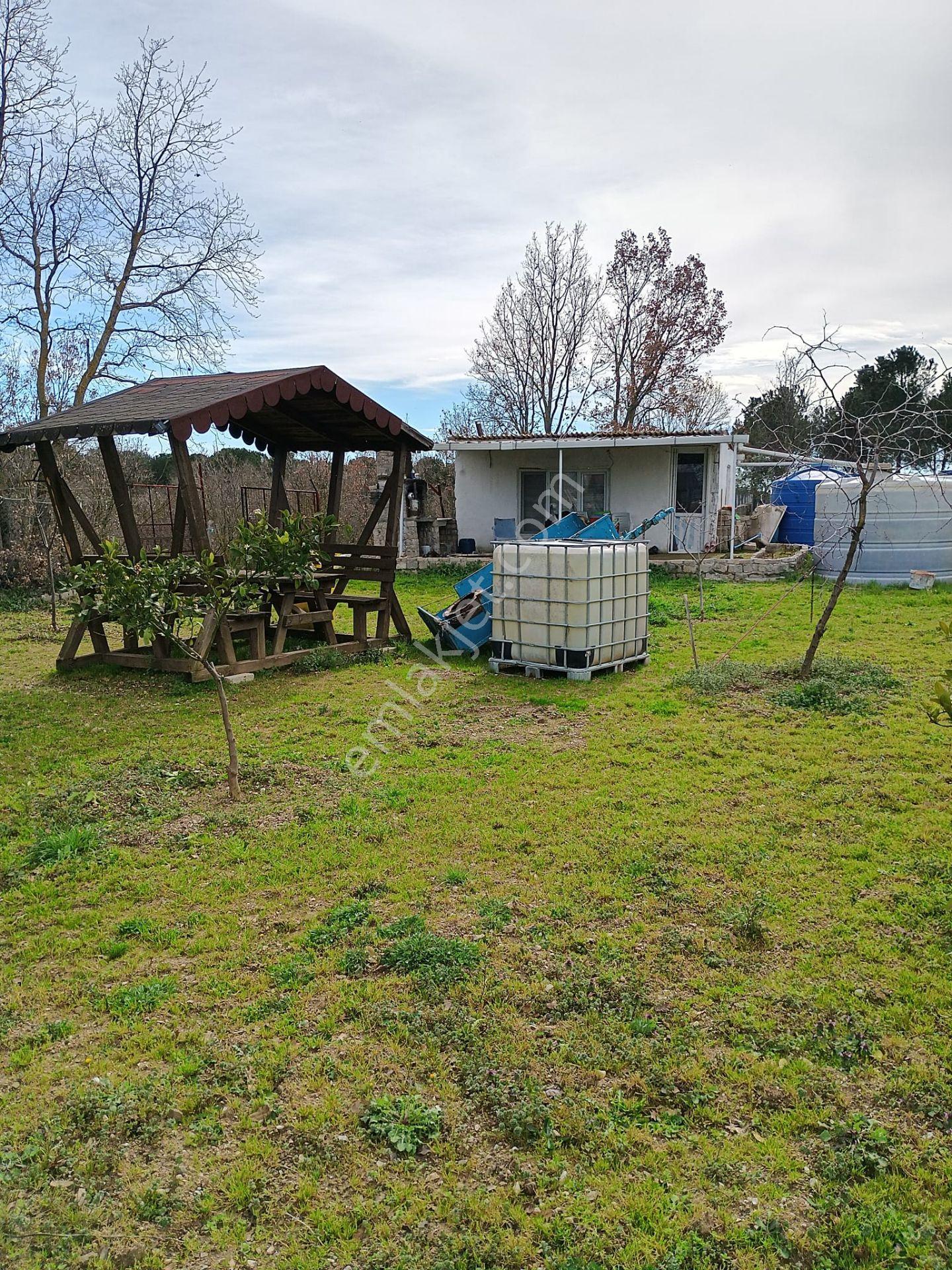 Çanakkale Biga Bahçeli Köyünde 1.115 M2 Bağ - Görsel 31