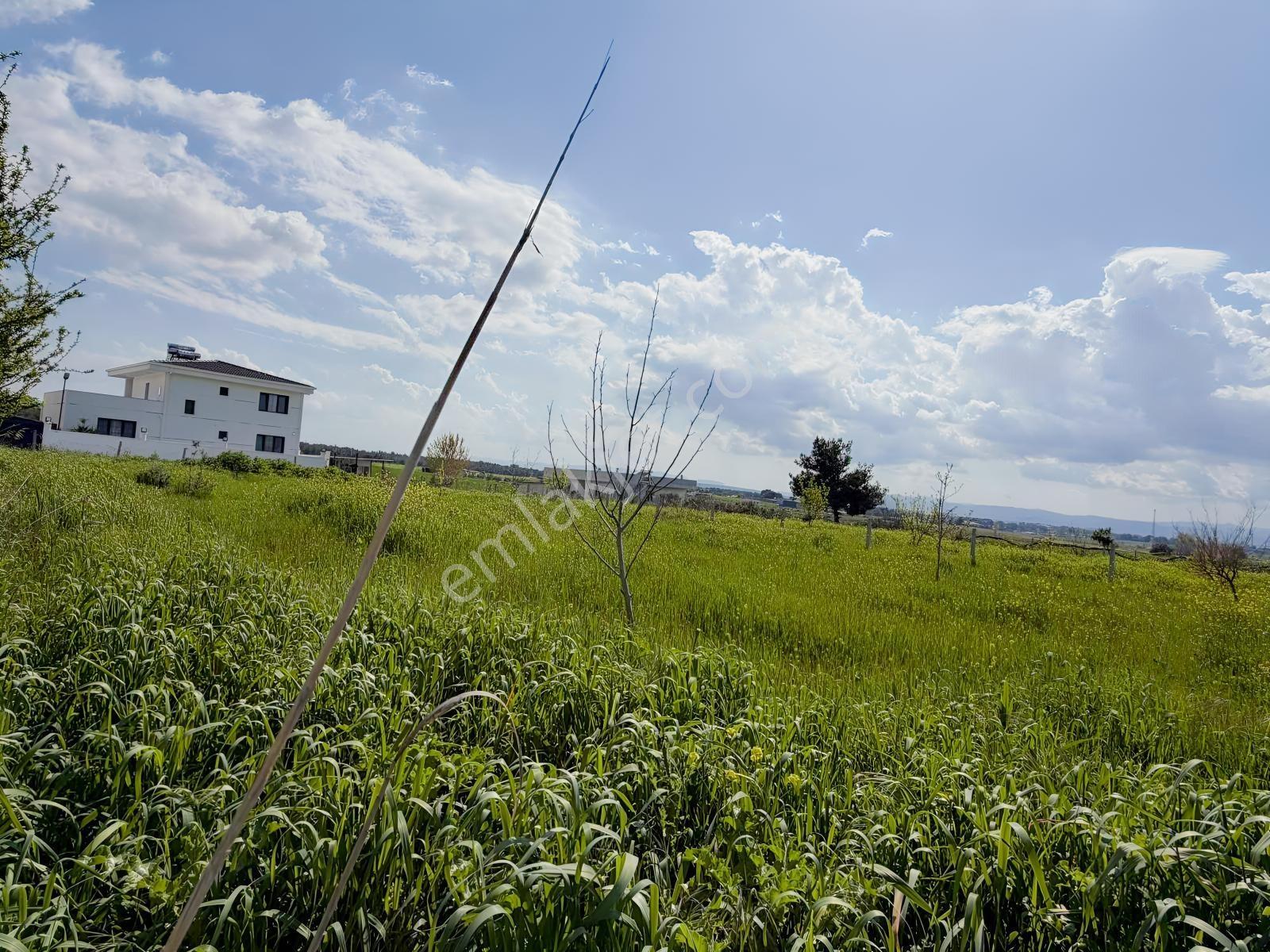 Buca Karacaagac'ta Satılık Hisseli 1375 M2 Tarla - Görsel 15