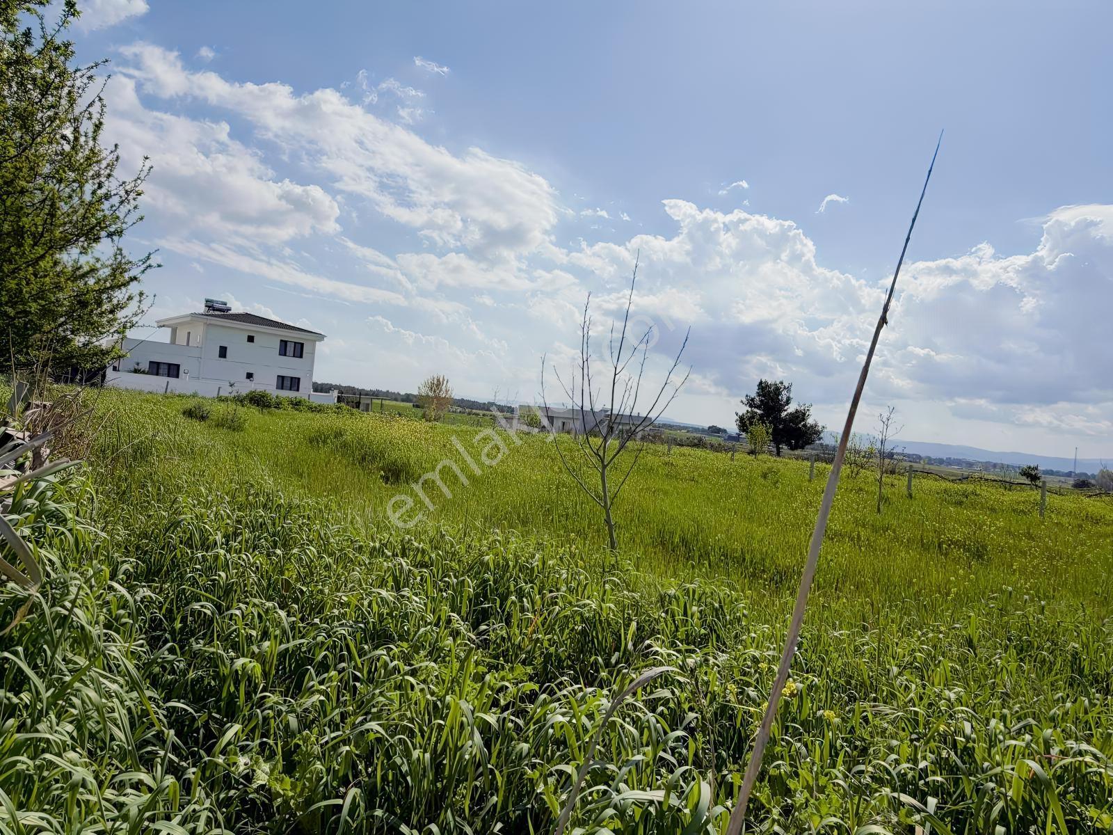 Buca Karacaagac'ta Satılık Hisseli 1375 M2 Tarla - Görsel 7