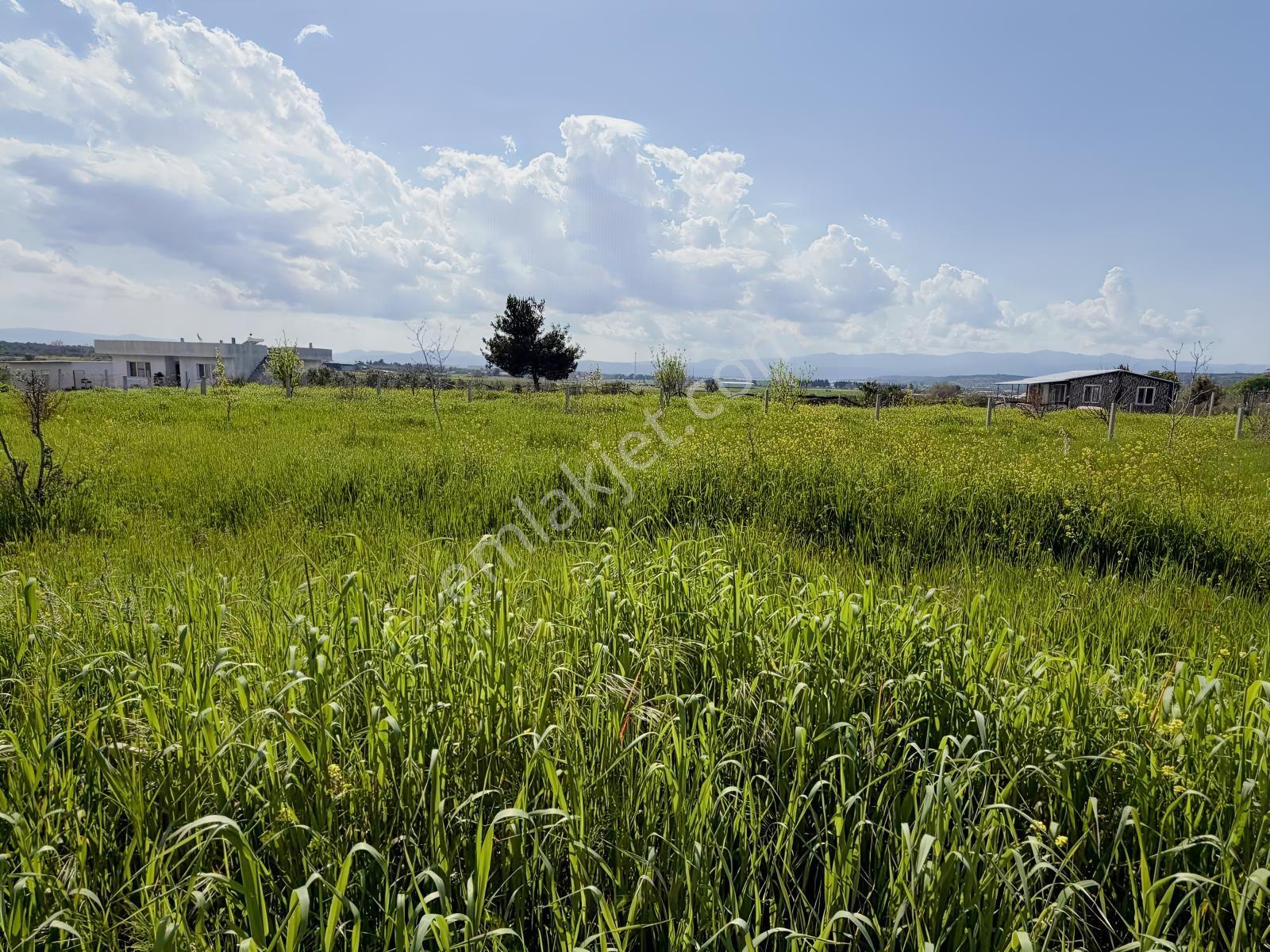 Buca Karacaagac'ta Satılık Hisseli 1375 M2 Tarla - Görsel 4