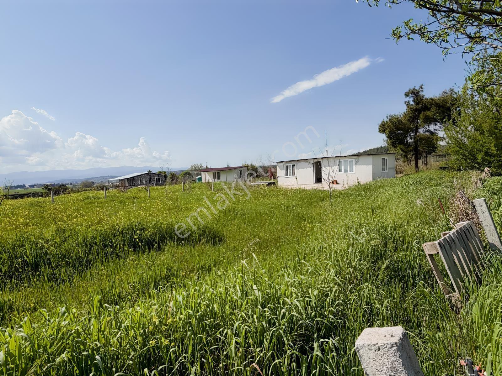 Buca Karacaagac'ta Satılık Hisseli 1375 M2 Tarla - Görsel 6