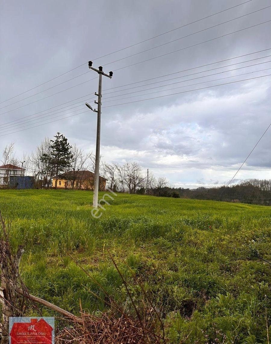 Alaçam Esentepe Mahallesinde 1.938 M² Arsa: 2 Kata İmarlı, Ana Yola Cepheli - Görsel 2