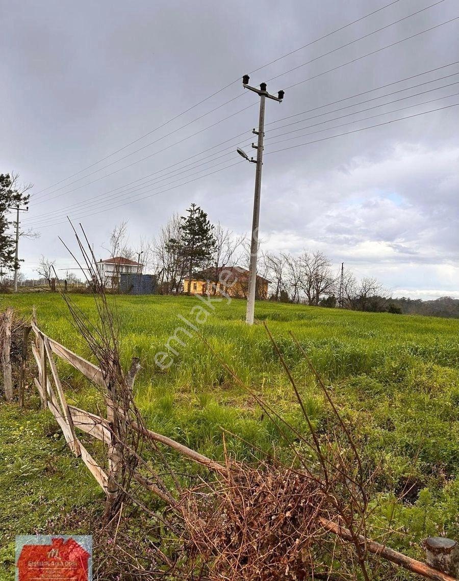 Alaçam Esentepe Mahallesinde 1.938 M² Arsa: 2 Kata İmarlı, Ana Yola Cepheli - Görsel 14