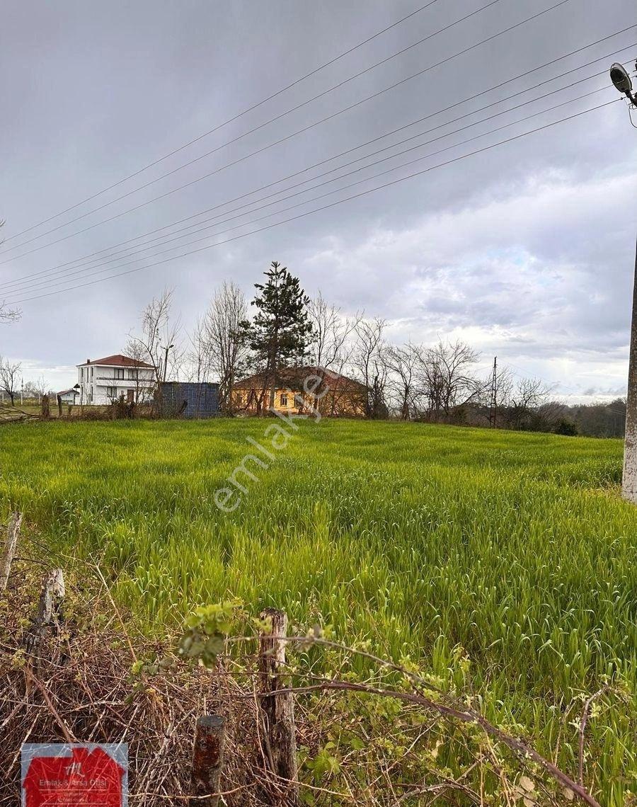 Alaçam Esentepe Mahallesinde 1.938 M² Arsa: 2 Kata İmarlı, Ana Yola Cepheli - Görsel 15