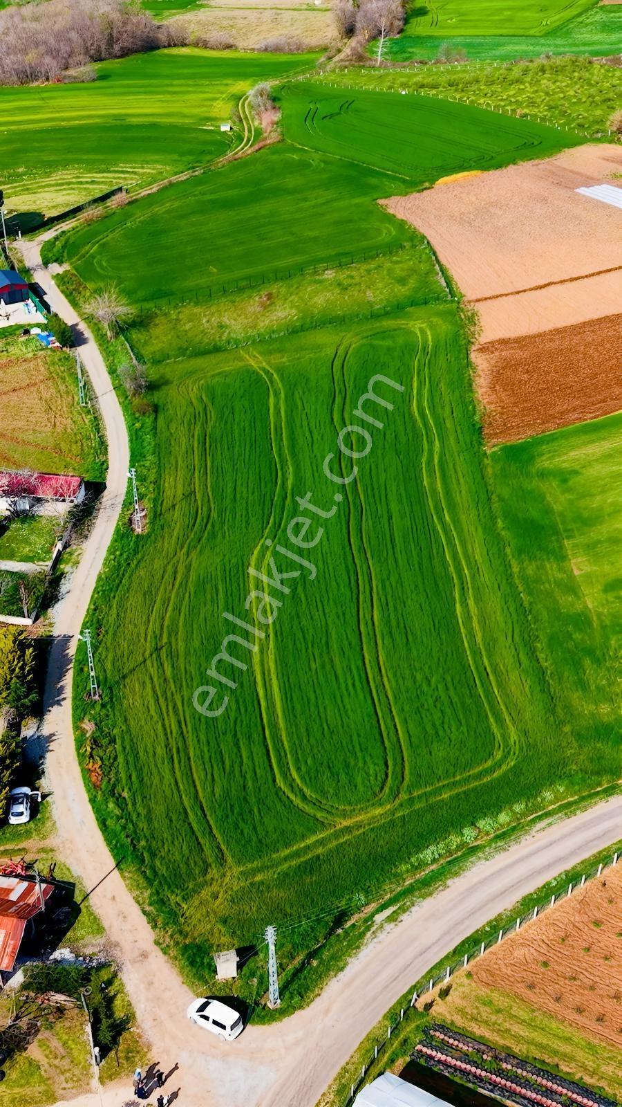 Evrenuşağında Köy Yerleşim İçinde Yola Cephe Satılık Tarla - Görsel 7