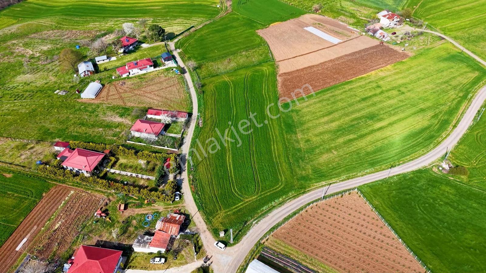 Evrenuşağında Köy Yerleşim İçinde Yola Cephe Satılık Tarla - Görsel 16