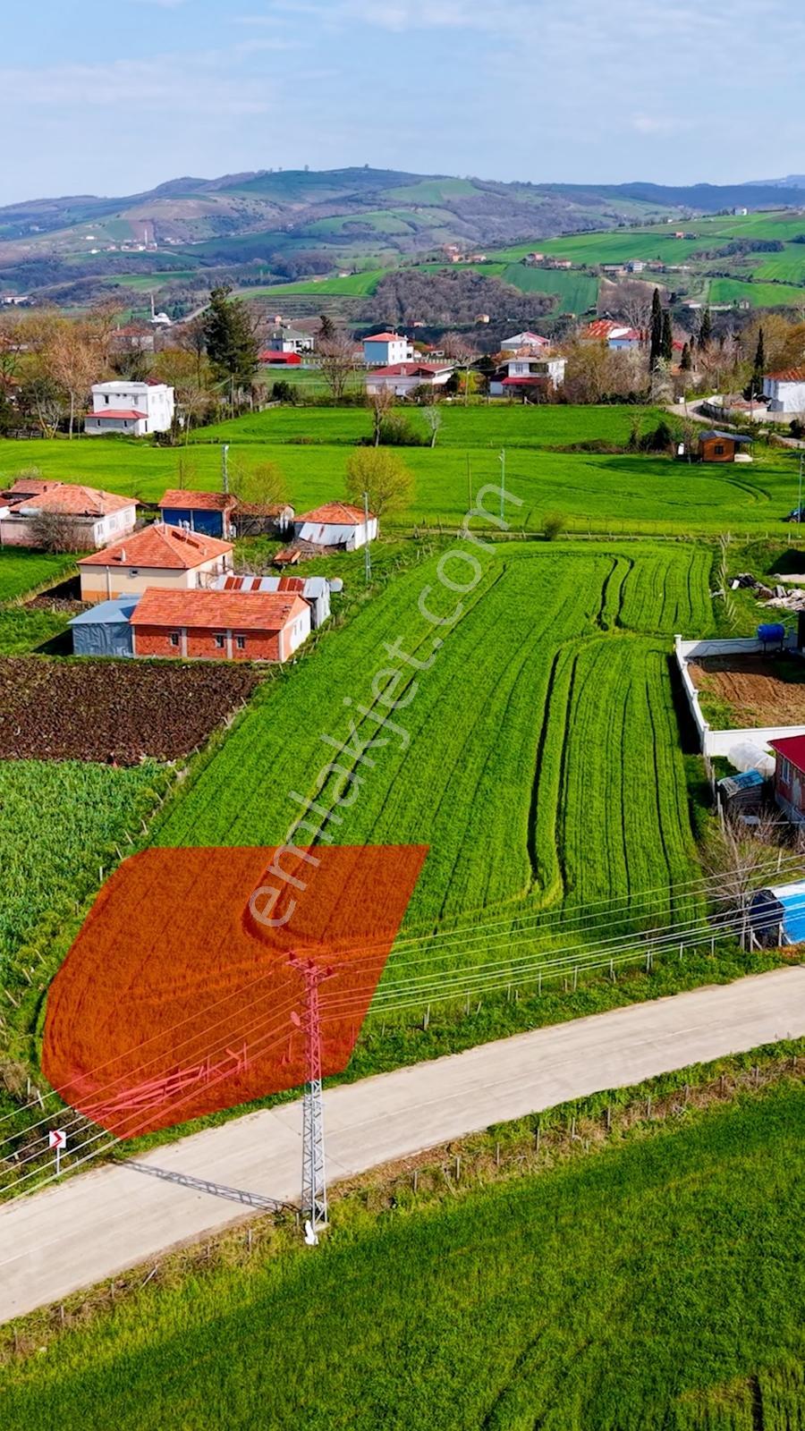 Evren Uşağı Merkezinde Köy Yerleşim İçinde Satılık Tarla - Görsel 5