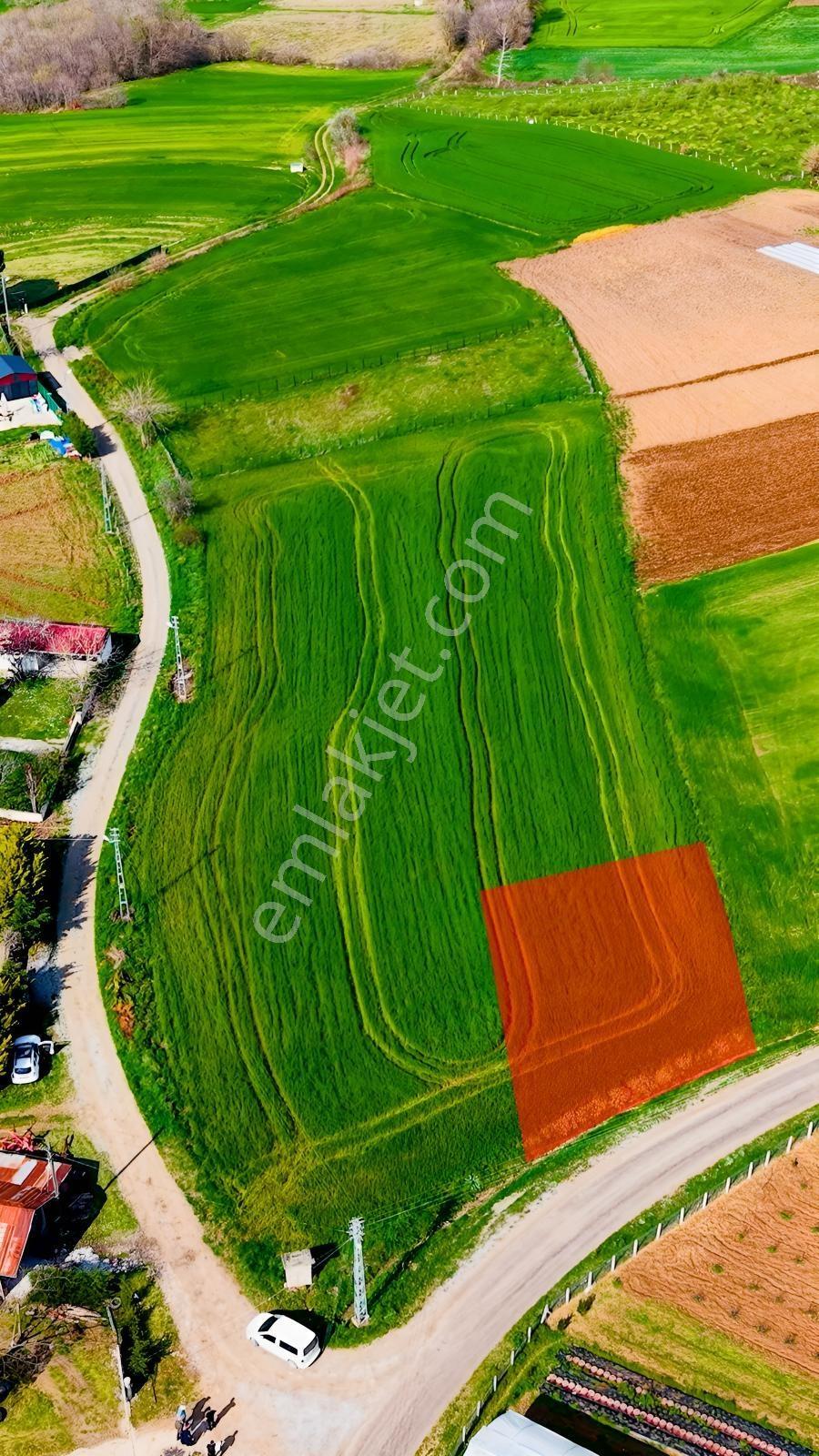 Evrenuşağında Yola Cephe Köy Yerleşim İçinde Satılık Tarla - Görsel 7
