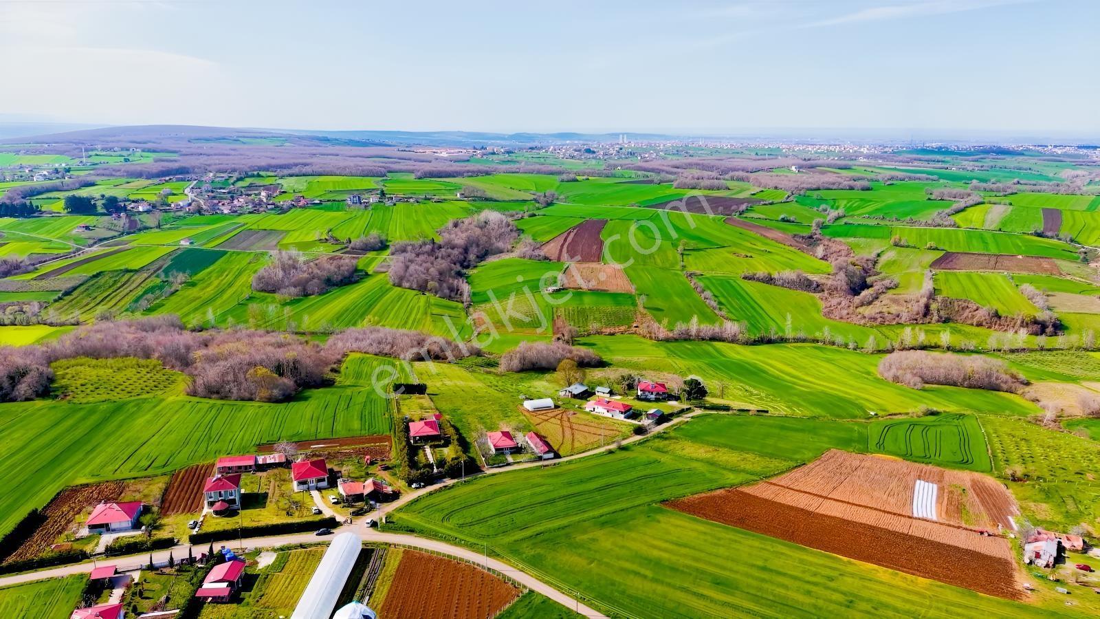 Evrenuşağında Yola Cephe Köy Yerleşim İçinde Satılık Tarla - Görsel 2