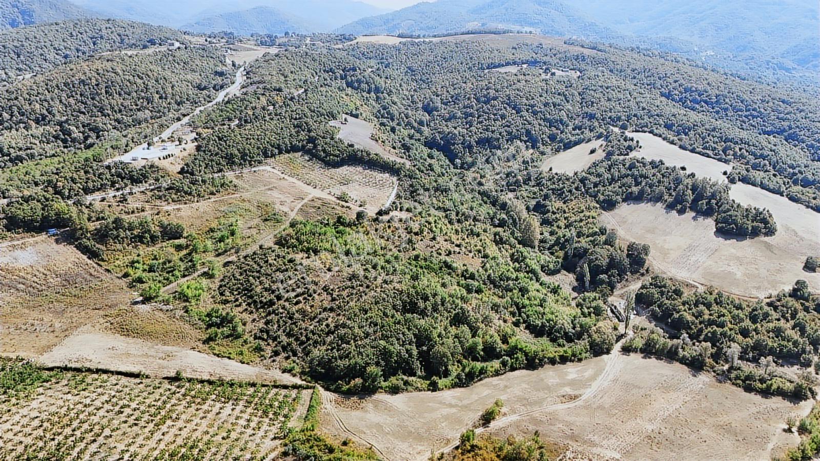Yalova/kadıköy'de Muhtşem Konum 26.000m2 Yatırımlık Tarla!!! - Görsel 2