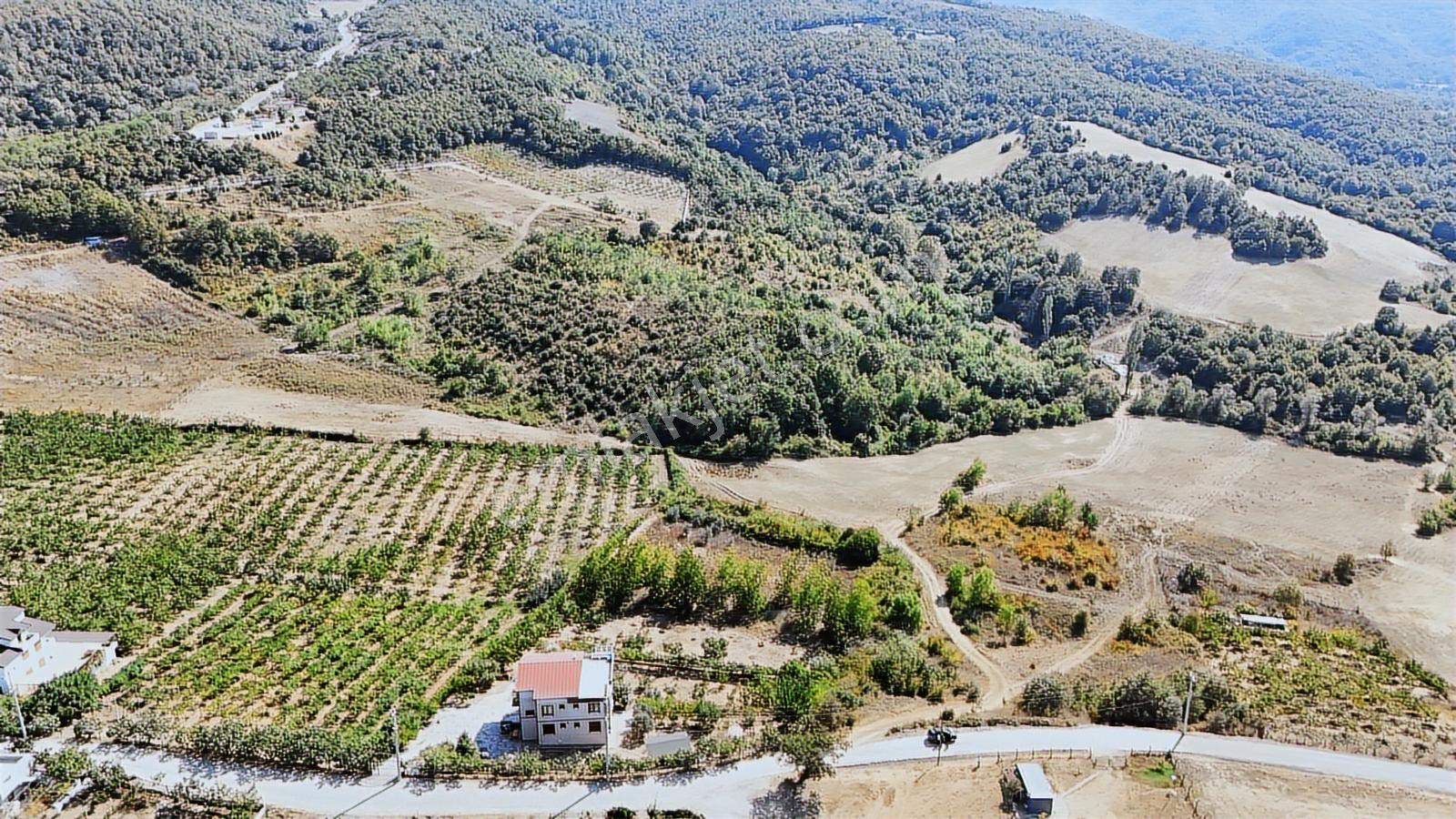 Yalova/kadıköy'de Muhtşem Konum 26.000m2 Yatırımlık Tarla!!!